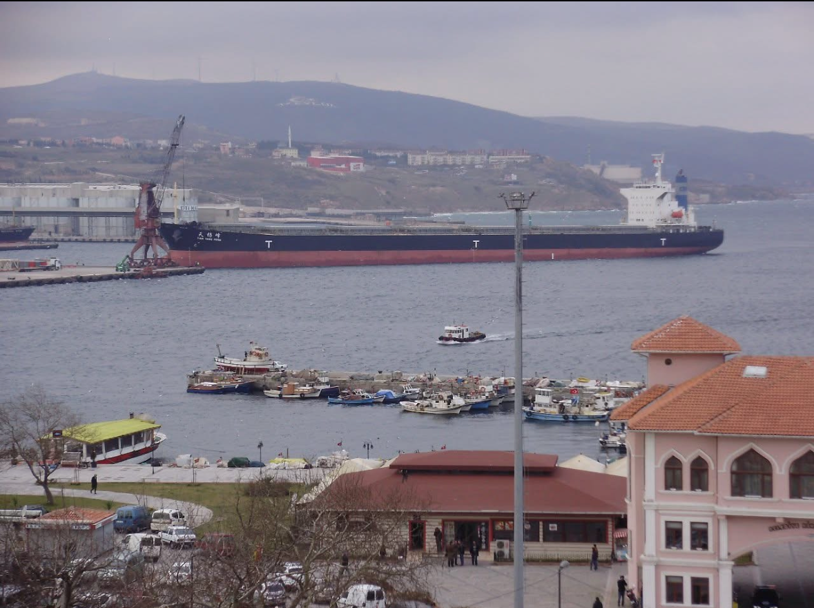 Cargo vessel passing Bandırma waterfront and local harbour boats